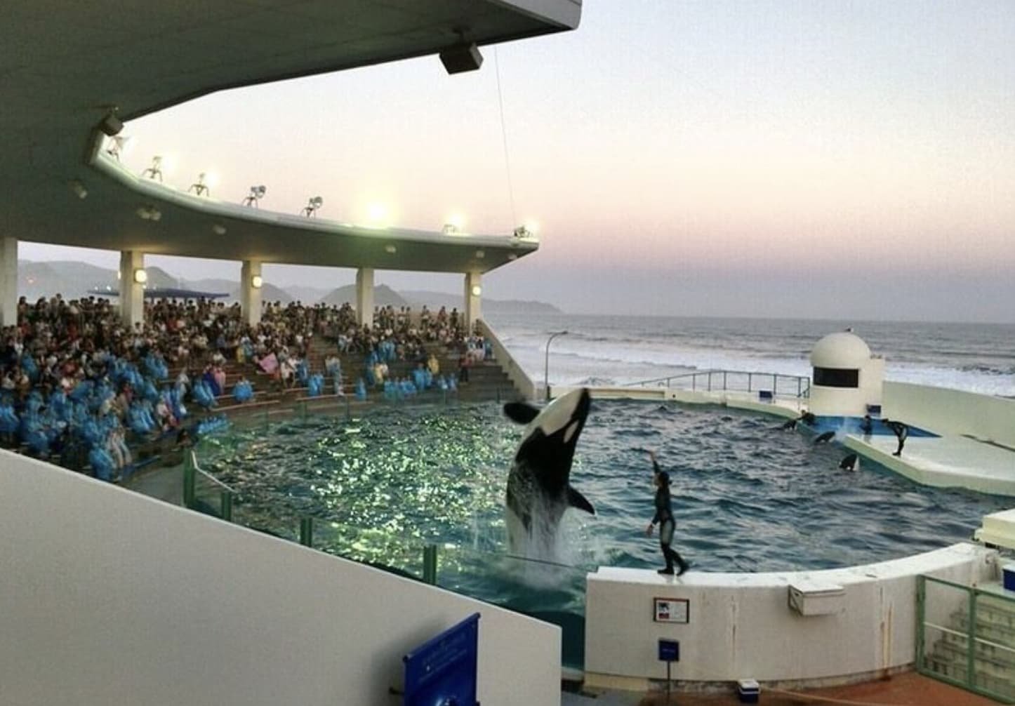 🏖️ 마에바라 해수욕장 (마에바라 카이스이요쿠조) 이미지 9